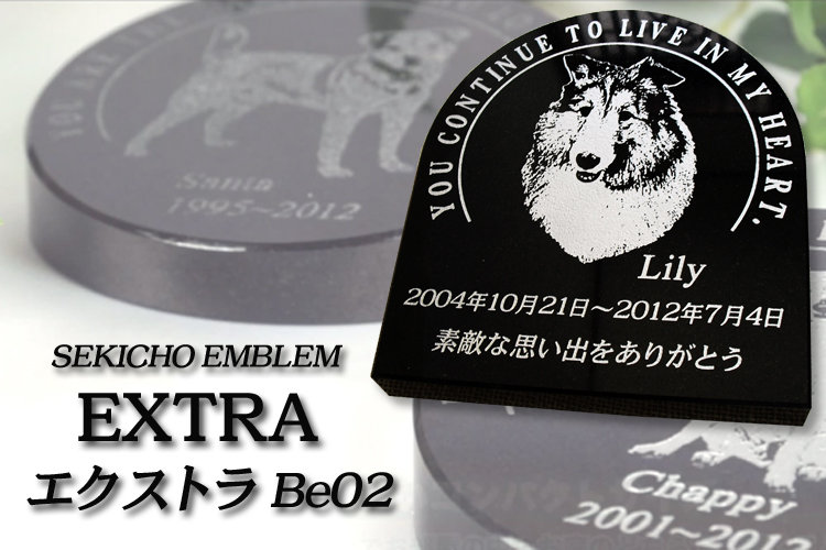 EXTRA BE02