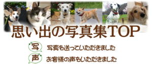 写真集TOP