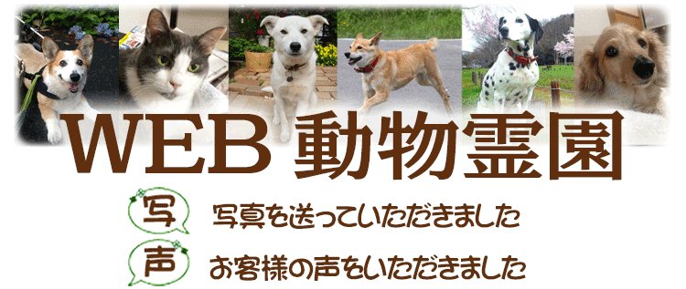 WEB動物霊園
