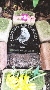 Soraのお墓