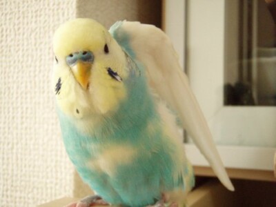 Soraの写真2