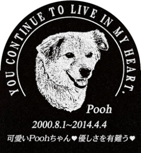 ご依頼主  上地様 12455