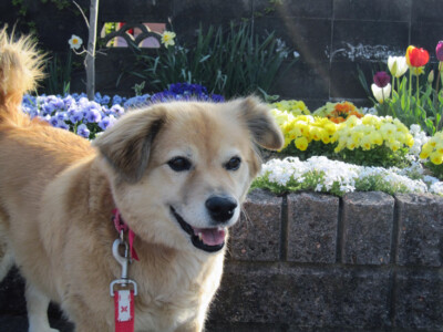 Poohの写真