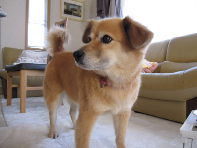 Poohの写真2