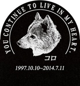 ご依頼主 池上様 12468