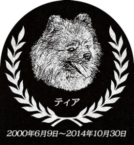 ご依頼主 五十嵐様 12493