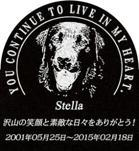 ご依頼主 淺羽様 12502