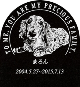 ご依頼主  金島様  12541