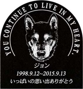 ご依頼主 山本様 12562