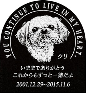 ご依頼主 向山様 12574