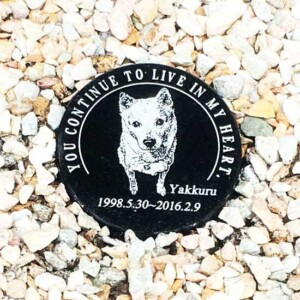 ヤックルのお墓2