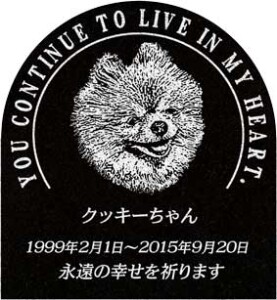 ご依頼主 瓦谷様 12594