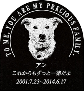 ご依頼主  村松様  12604