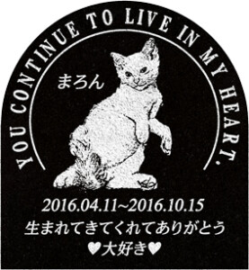 ご依頼主  中島様  12618