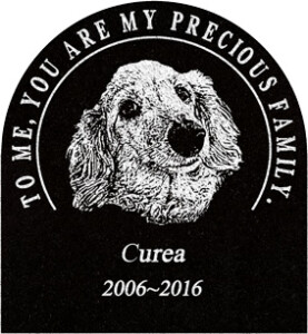 ご依頼主  小川様  12622