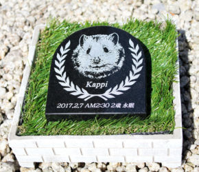 Kappiのお墓