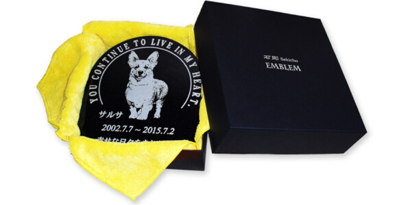 エクストラBe02 メッセージモデル