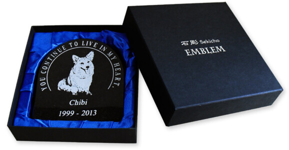 グレイスBe02 メッセージモデル