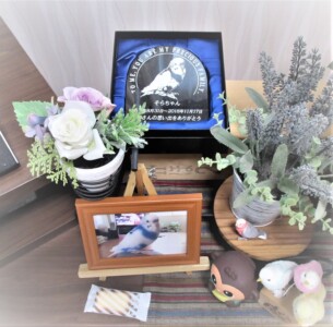 そらの石彫エンブレム