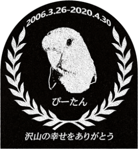 ご依頼主 八木下様 12662