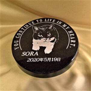 SORAの石彫エンブレム