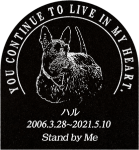 ご依頼主 森様 12709