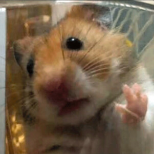 エイトの写真3